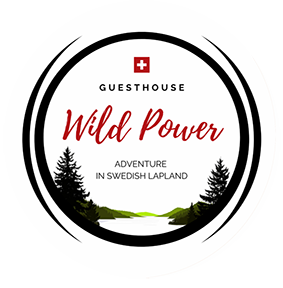 Wild Power Logo